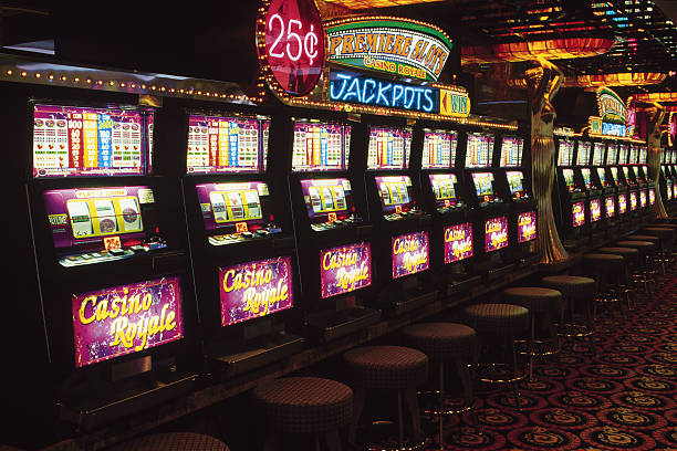 ninja slot77 platform interface showing live-dealer tables and sportsbook markets on mobile